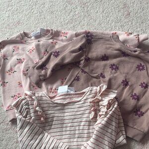 Zara Girls' Pink Floral & Stripe Sweatshirt Bundle